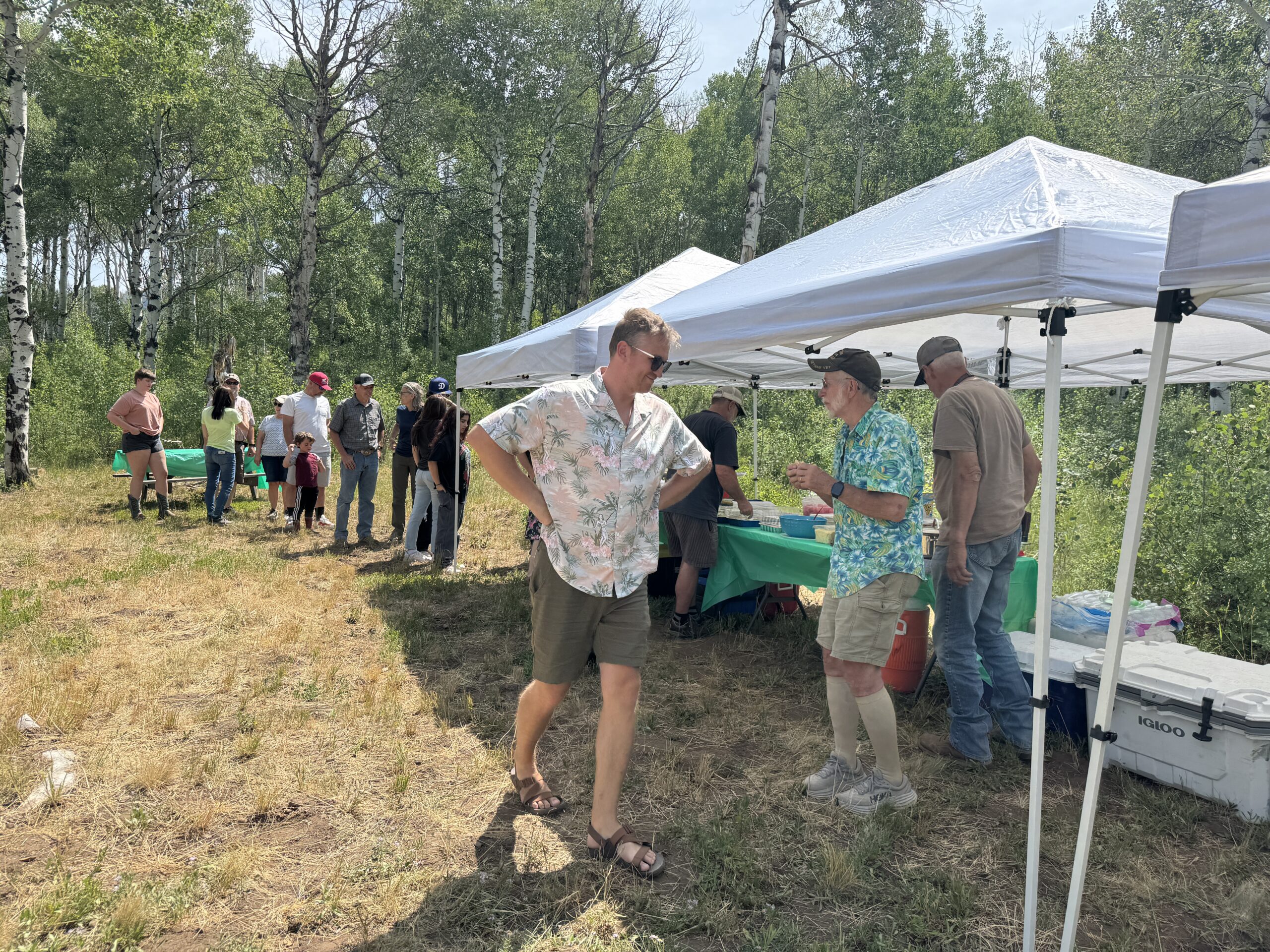 Picnic gathering