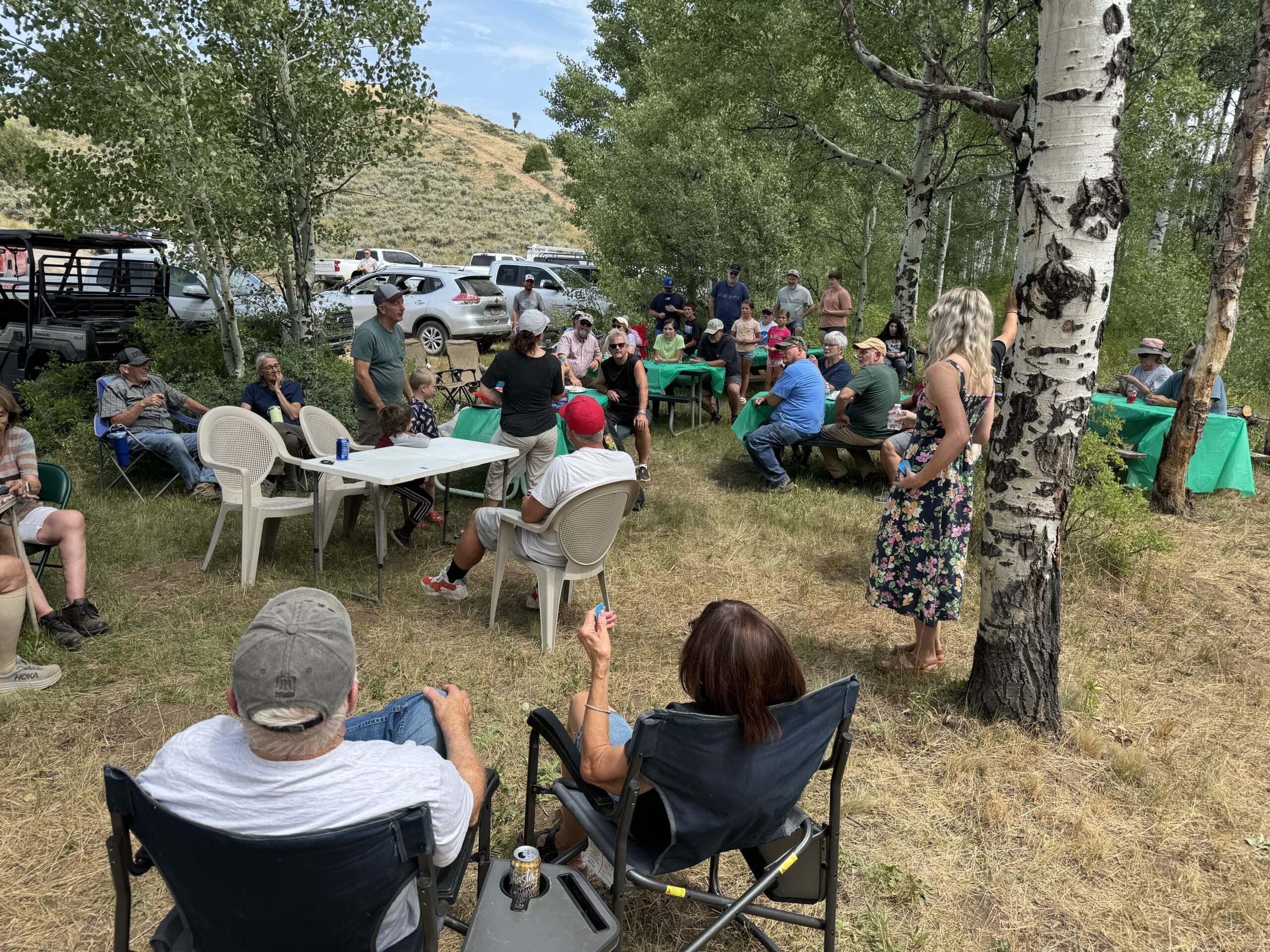 Picnic gathering