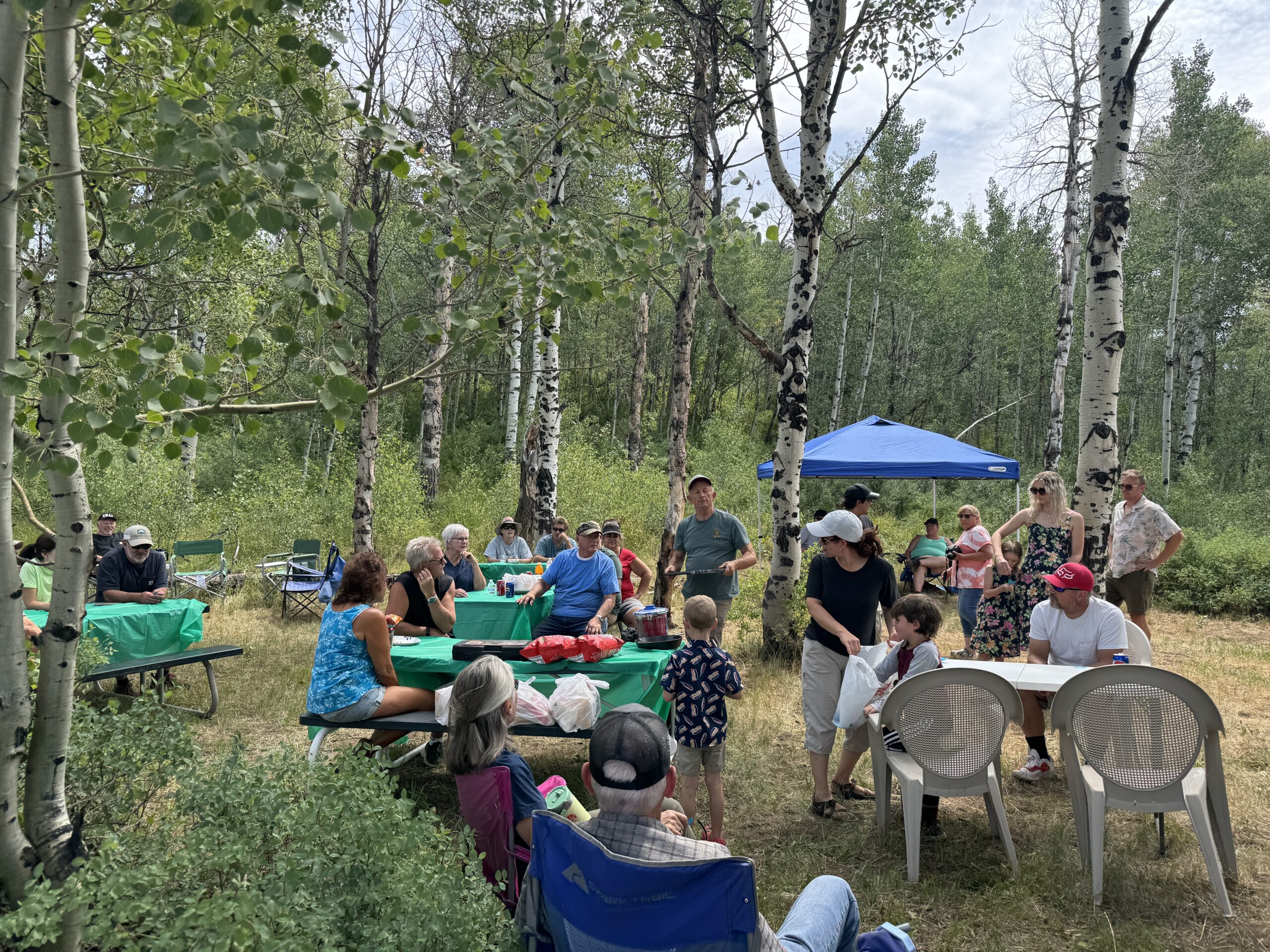 Picnic gathering